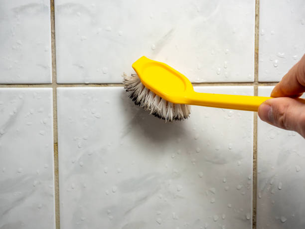 Best Residential Mold Remediation in Levelland, TX