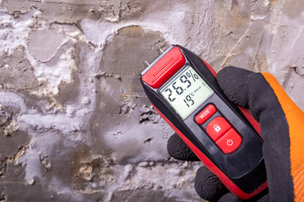 Best Attic Mold Remediation in Levelland, TX