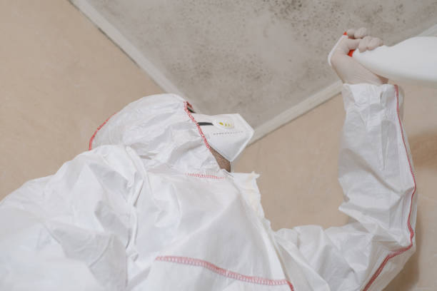 Best Mold Testing and Inspection Services in Levelland, TX